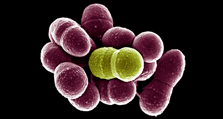 Image Source|Public Domain