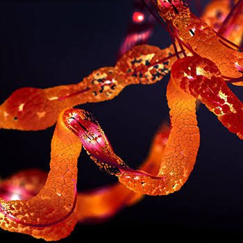 Image Source: Public Domain