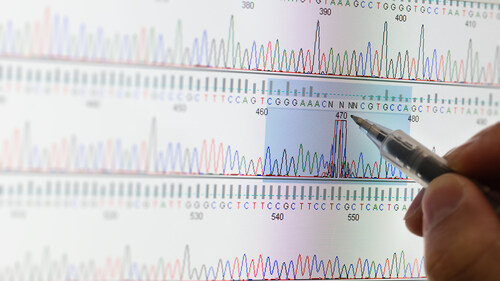 The collaboration allows research scientists to more easily understand and further validate correlations between molecular biomarkers, treatment decisions and clinical outcomes.
